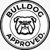 WhatsApp Image 2026-03-25 at 20.05.53 Bulldog Screen Protector for iPhone 13
